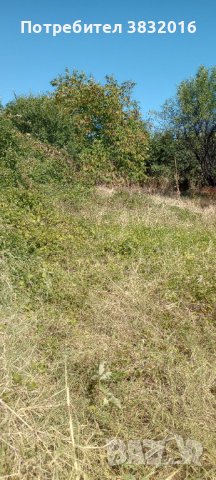 Парцел в с. Церово, общ.Лесичово, снимка 3 - Парцели - 42085585