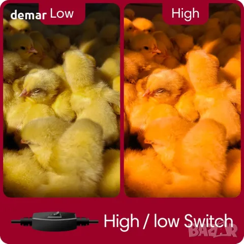 Инфрачервена нагревателна лампа Neviland с 250W нагревателна крушка, превключвател за мощност, снимка 5 - Други стоки за животни - 49885940