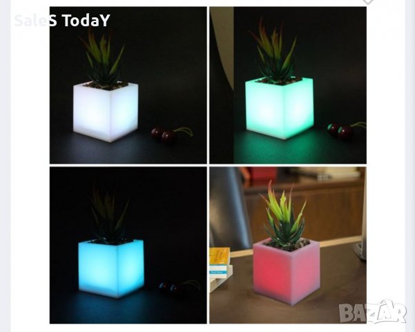 Нощна Лампа кактус, декоративна , снимка 3 - Настолни лампи - 39973914