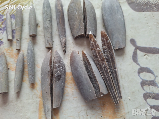 ✅ФОСИЛИ - БЕЛЕМНИТИ - ШУМЕН❗, снимка 3 - Колекции - 53432058