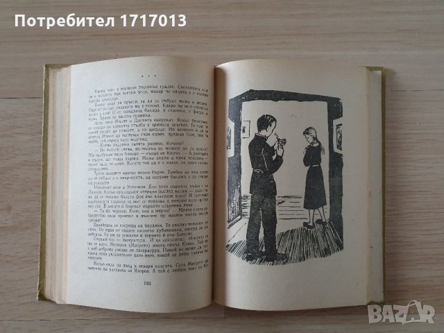 Бакьо - Райна Вапцарова, снимка 2 - Българска литература - 34748468