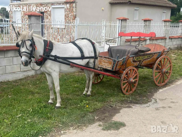 Продавам кобила, снимка 1