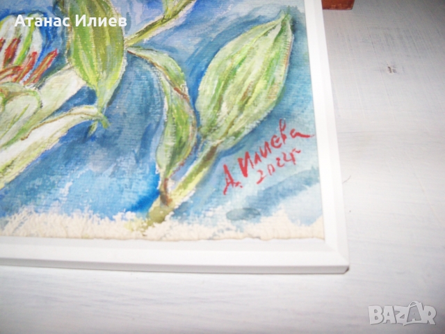 "Лилиум" акварел на худ. Десислава Илиева, снимка 2 - Картини - 36096887