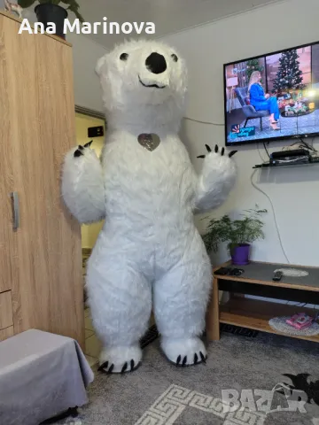 Бяла мечка - Шумен под наем