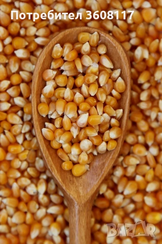 Царевица на зърно 45 ст 