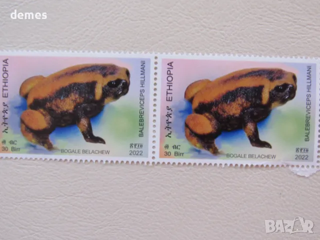 Марки Жаби, 5 броя, Етиопия, минт, 2022, снимка 2 - Колекции - 48550636