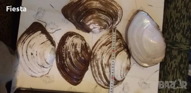 Сувенири от скандинавски мъх ръчна изработка Handmade, снимка 11 - Картини - 53573252