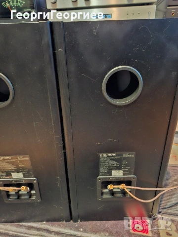 GRUNDIG BX 2000, снимка 5 - Тонколони - 53696887