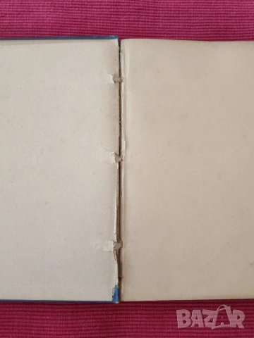 Две антикварни книги Политическия и военния живот на Напалеон., снимка 4 - Художествена литература - 51049802