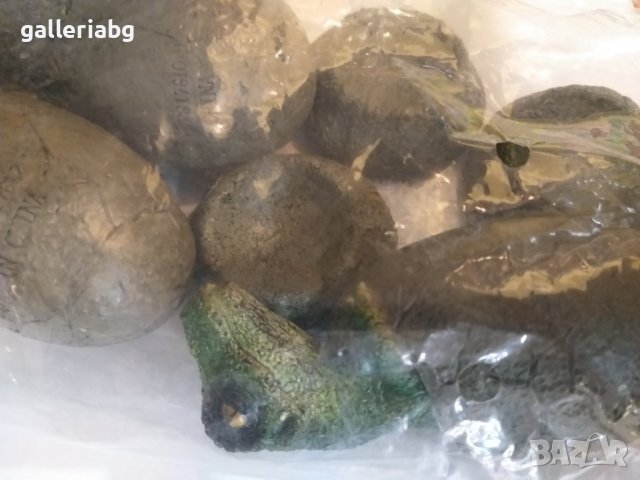 Комплект динозаври в яйце , снимка 2 - Фигурки - 39371822