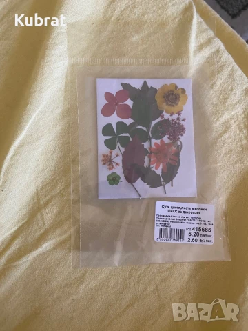 Сухи цветя , снимка 9 - Изкуствени цветя - 50972926