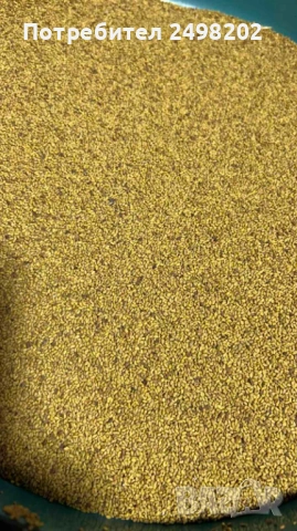 Продавам люцерново семе, снимка 3 - Други - 53726520