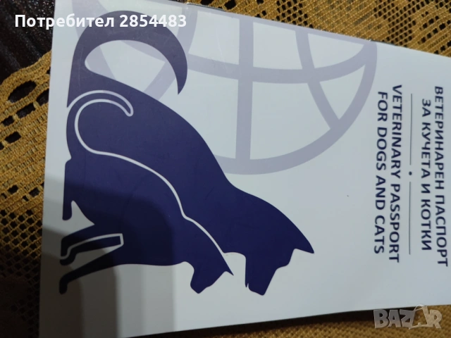 Йоркширски териер , снимка 4 - Йоркширски териер - 53738896