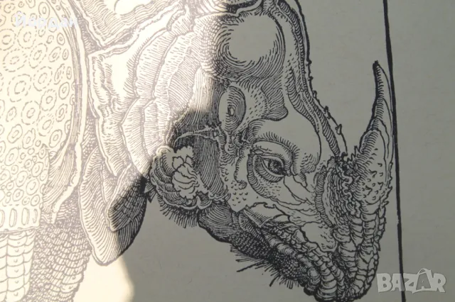 Литография ''Албрехт Дюрер'', снимка 5 - Колекции - 48572598