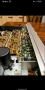 Усилвател Pioneer SA 8100, снимка 10