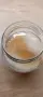 Комбуча гъба scoby + стартер течност за напитка, снимка 2