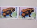 Марки Жаби, 5 броя, Етиопия, минт, 2022, снимка 2