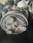 Компресор Климатик Рено Лагуна 1 1.8i Renault Laguna I 7700859676D 1804904504 78158, снимка 3