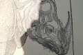 Литография ''Албрехт Дюрер'', снимка 5
