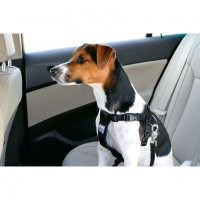 Предпазен колан за кучета за автомобил Zolux последни бройки, снимка 2 - За кучета - 27654987