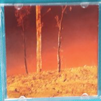 Faust - 1999 - Ravvivando(Krautrock,Prog Rock), снимка 3 - CD дискове - 44302503