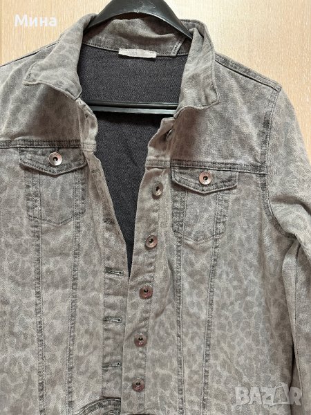 Дънково якенце, снимка 1