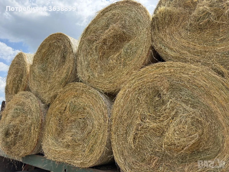 Рулонни бали люцерна,ливадно сено,овес,просо!, снимка 1
