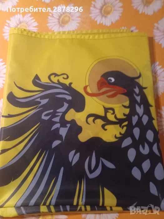 Знаме на Свещенната империя, снимка 1