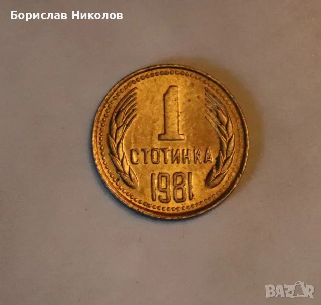 1 стотинка от 1981, снимка 1