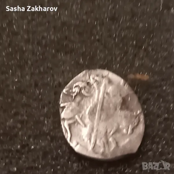 Чешуйка, снимка 1