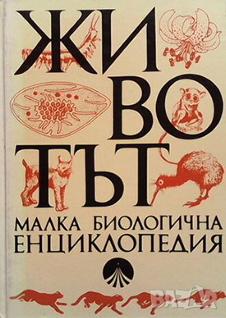 Животът, снимка 1