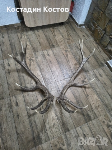 еленски рога 