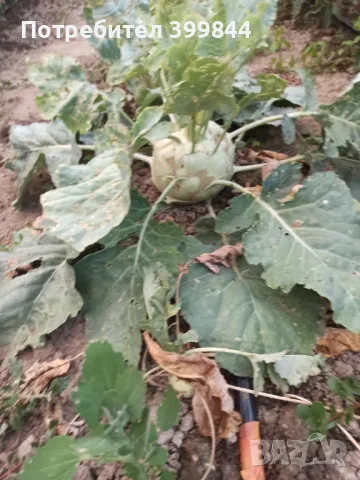 Продавам обработваемо място, снимка 13 - Земеделска земя - 48886187