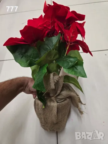 коледни звезди сакси, снимка 3 - Декорация за дома - 48248114