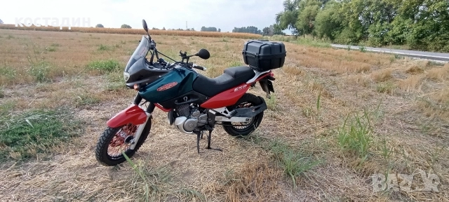 suxzuki xf 650 freewind