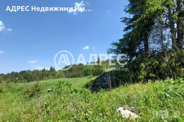 Инвестиционен имот до лифта в с. Стойките , снимка 7 - Парцели - 47345254