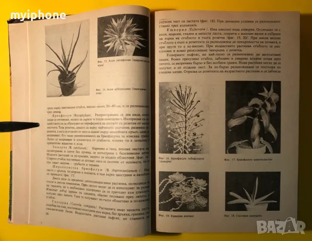 Стара Книга За Всеки Ден и Всеки Дом Домакинска Енциклопедия, снимка 3 - Специализирана литература - 49240653