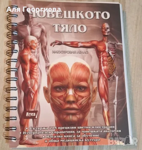 Илюстрован атлас по анатомия