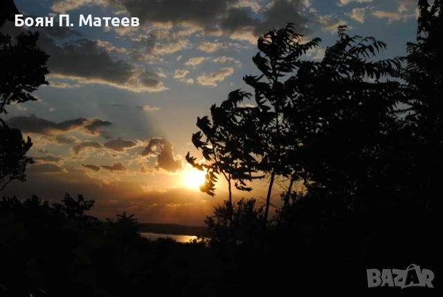 Продавам парцел 4200 кв.м. в регулация, с. Долно Линево, снимка 5 - Парцели - 50957229