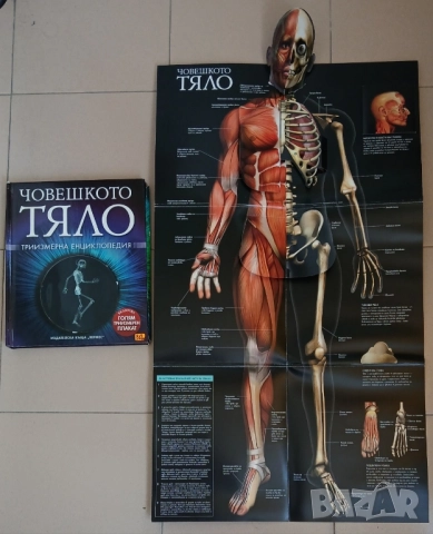 Човешкото тяло-триизмерна енциклопедия и Тялото - наръчник за употреба от Бил Брайсън., снимка 12 - Енциклопедии, справочници - 49495419