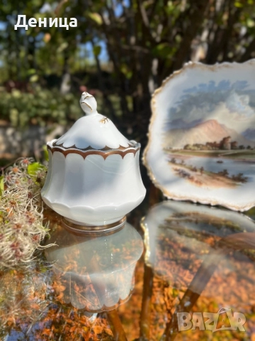 Eschenbach Нежността на бялото, декорация в злато, но преливащо в меден цвят, стилен релеф 