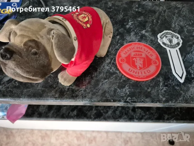 Manchester united украси