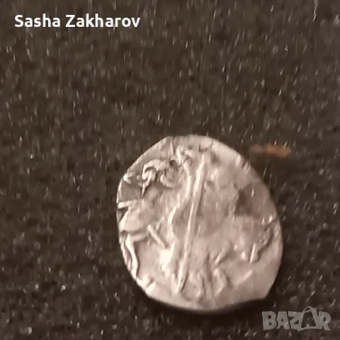 Чешуйка, снимка 1