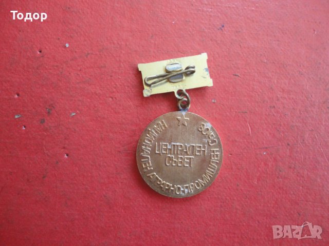 Знак значка Отличник Централен Съвет , снимка 3 - Колекции - 42198003