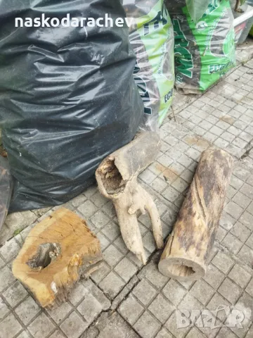 Пън, пънове, дънери с естествени дупки и без - за саксии, кашпи, декорация, снимка 15 - Саксии и кашпи - 27513634