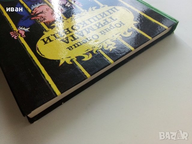 Тримата Шишковци - Юрий Олеша - 1985г. , снимка 12 - Детски книжки - 42461902