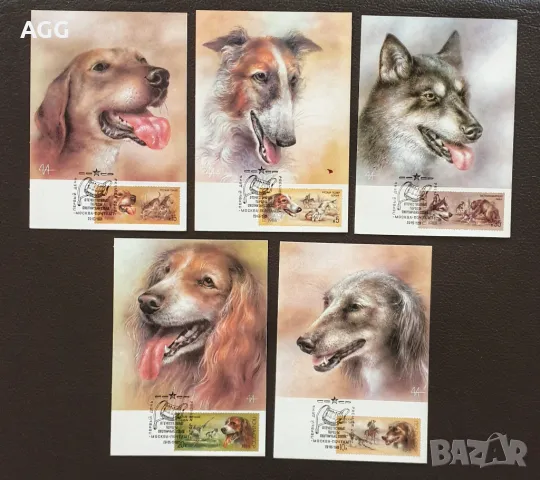 Колекции с рядко срещани картички, снимка 6 - Филателия - 47762443