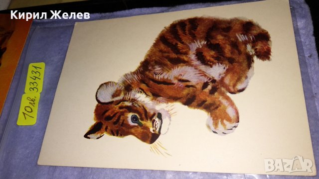 ЛОТ 4 СТАРИ ПОЩЕНСКИ КАРТИЧКИ ФРАНЦИЯ ПИРЕНЕИ СССР АФРИКА ПРИРОДА КУКЛИ 33431, снимка 2 - Филателия - 38810847