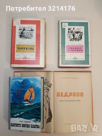 Вдигнете всички платна! - Раду Тудоран, снимка 1