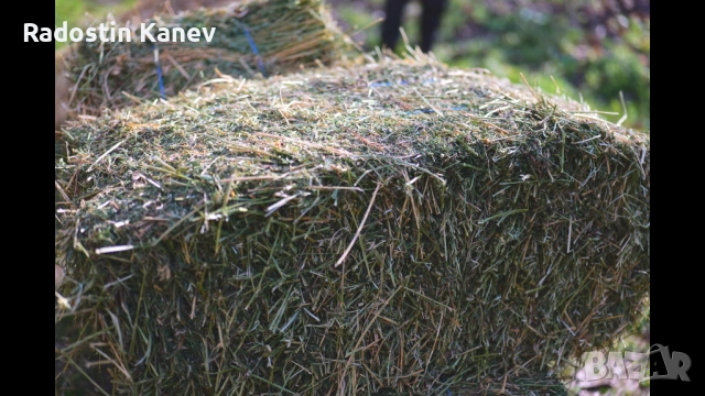 Бали люцерна , снимка 3 - За селскостопански - 53067825